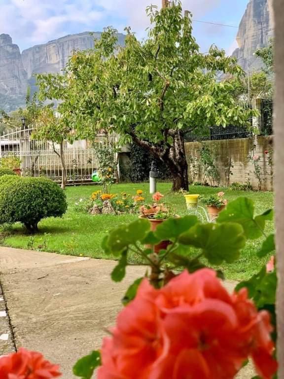Appartement Meteora View Garden à Kalambaka Extérieur photo